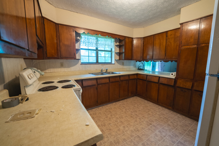 East Tennessee Opportunity: Brick Rancher with Mountain Views - image 7