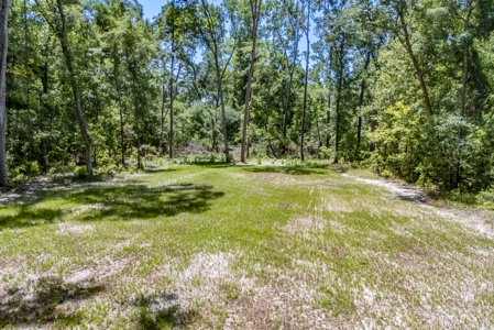 Country Home on .96 Acres for Sale in Branford, Florida - image 7