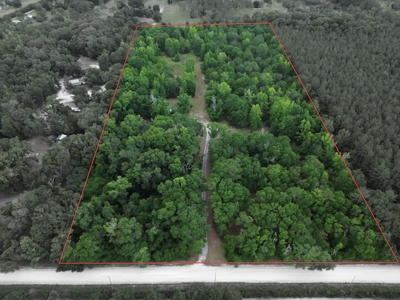 Investment Opportunity: North Florida Acreage & Fixer-Upper Home - image 18