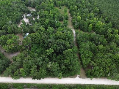 Investment Opportunity: North Florida Acreage & Fixer-Upper Home - image 19