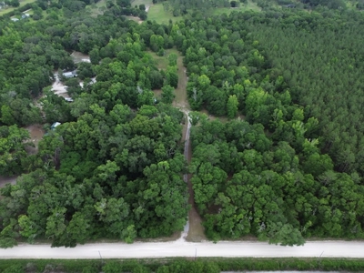 Investment Opportunity: North Florida Acreage & Fixer-Upper Home - image 20