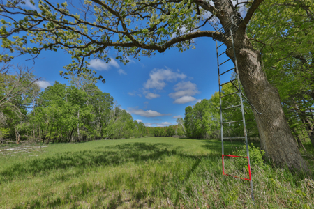 Premier Farmstead for Sale in Juneau County, Wisconsin - image 39