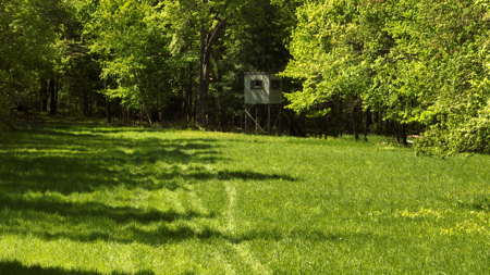 Premier Farmstead for Sale in Juneau County, Wisconsin - image 37