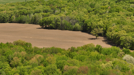 Premier Farmstead for Sale in Juneau County, Wisconsin - image 33