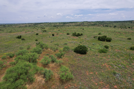 517+- Acre Ranch in Vinson Oklahoma - image 42