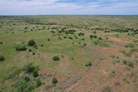 517+- Acre Ranch in Vinson Oklahoma - image 27