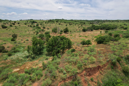 517+- Acre Ranch in Vinson Oklahoma - image 46