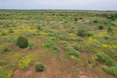 517+- Acre Ranch in Vinson Oklahoma - image 17