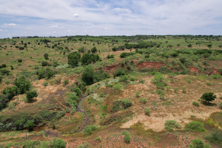 517+- Acre Ranch in Vinson Oklahoma - image 44