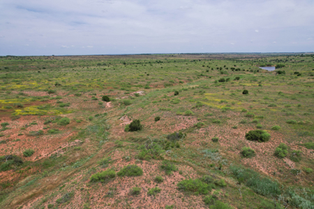 517+- Acre Ranch in Vinson Oklahoma - image 43