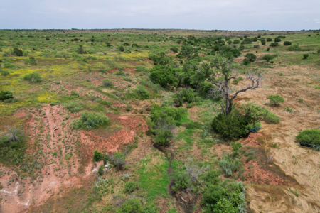 517+- Acre Ranch in Vinson Oklahoma - image 16