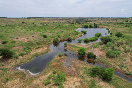 517+- Acre Ranch in Vinson Oklahoma - image 25