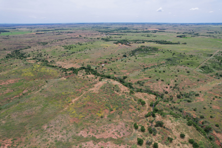 517+- Acre Ranch in Vinson Oklahoma - image 6