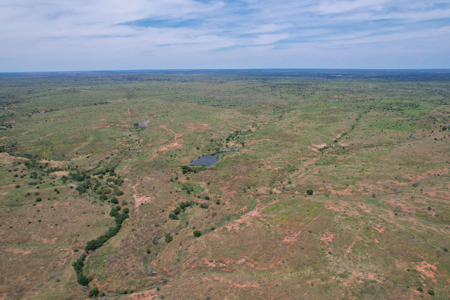517+- Acre Ranch in Vinson Oklahoma - image 7