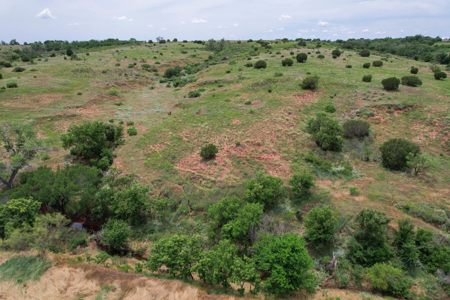 517+- Acre Ranch in Vinson Oklahoma - image 13