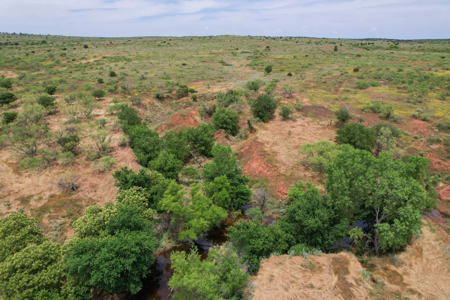 517+- Acre Ranch in Vinson Oklahoma - image 15