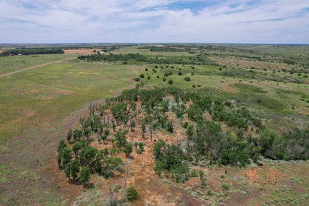 517+- Acre Ranch in Vinson Oklahoma - image 35
