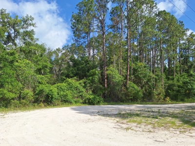 10 Acres in the Country in Old Town, Florida - image 1