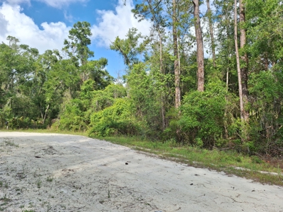 10 Acres in the Country in Old Town, Florida - image 8
