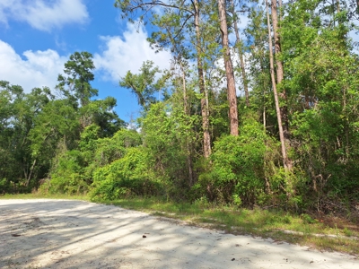 10 Acres in the Country in Old Town, Florida - image 9