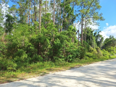 10 Acres in the Country in Old Town, Florida - image 4