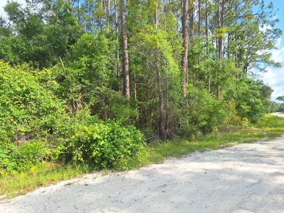 10 Acres in the Country in Old Town, Florida - image 7