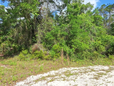 10 Acres in the Country in Old Town, Florida - image 6