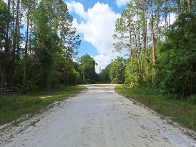 10 Acres in the Country in Old Town, Florida - image 12