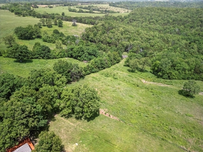 Ranch Bordering National Forest Land in Ozark County Missouri - image 45