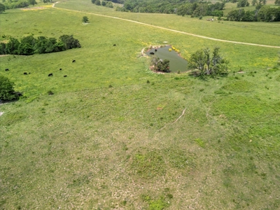 Ranch Bordering National Forest Land in Ozark County Missouri - image 43