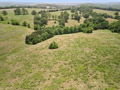 Ranch Bordering National Forest Land in Ozark County Missouri - image 36
