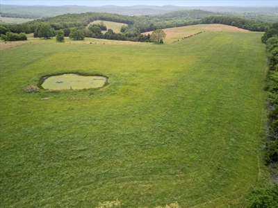 Ranch Bordering National Forest Land in Ozark County Missouri - image 7