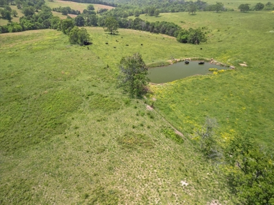 Ranch Bordering National Forest Land in Ozark County Missouri - image 42