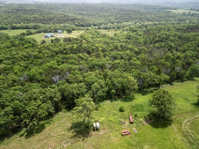 Ranch Bordering National Forest Land in Ozark County Missouri - image 44