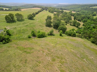 Ranch Bordering National Forest Land in Ozark County Missouri - image 6