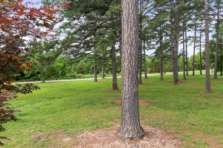 Country Home with acreage bordering Mark Twain National Forest - image 38