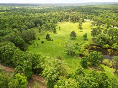 Country Home with acreage bordering Mark Twain National Forest - image 39