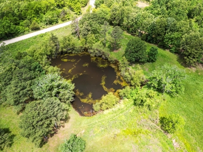 Country Home with acreage bordering Mark Twain National Forest - image 3