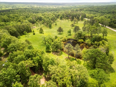 Country Home with acreage bordering Mark Twain National Forest - image 4