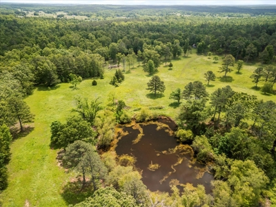 Country Home with acreage bordering Mark Twain National Forest - image 42