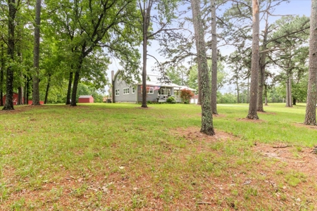 Country Home with acreage bordering Mark Twain National Forest - image 30
