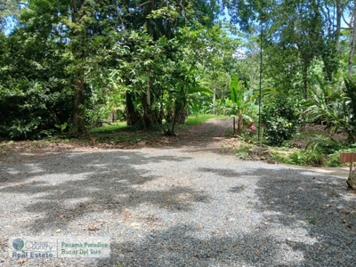 Lots with Road & Boat Access in Tierra Oscura, Bocas del Toro - image 3