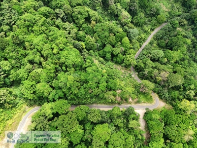 Lots with Road & Boat Access in Tierra Oscura, Bocas del Toro - image 8