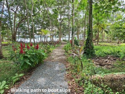 Lots with Road & Boat Access in Tierra Oscura, Bocas del Toro - image 12