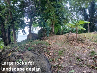 Lots with Road & Boat Access in Tierra Oscura, Bocas del Toro - image 16