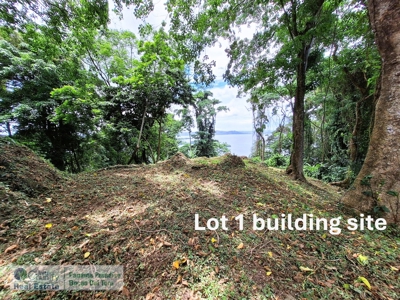 Lots with Road & Boat Access in Tierra Oscura, Bocas del Toro - image 9