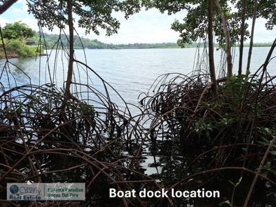 Lots with Road & Boat Access in Tierra Oscura, Bocas del Toro - image 18