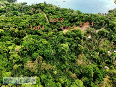 Lots with Road & Boat Access in Tierra Oscura, Bocas del Toro - image 19