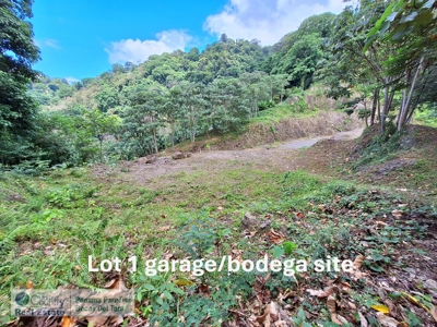 Lots with Road & Boat Access in Tierra Oscura, Bocas del Toro - image 15