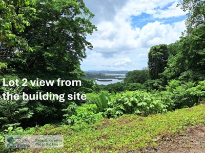 Lots with Road & Boat Access in Tierra Oscura, Bocas del Toro - image 10